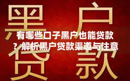 有哪些口子黑户也能贷款？解析黑户贷款渠道与注意事项