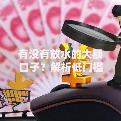 有没有放水的大额口子？解析低门槛贷款渠道与风险