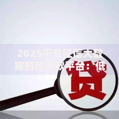 2025不查征信大数据的秒下款平台：低门槛贷款新选择解析