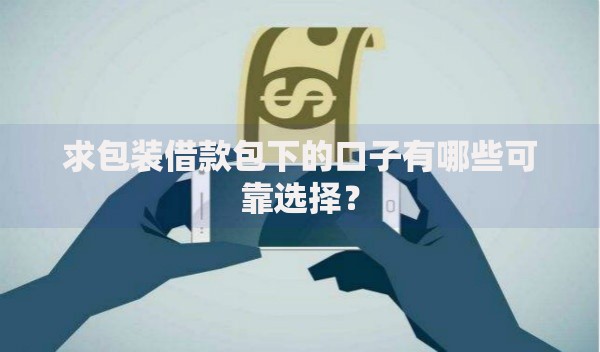 求包装借款包下的口子有哪些可靠选择？