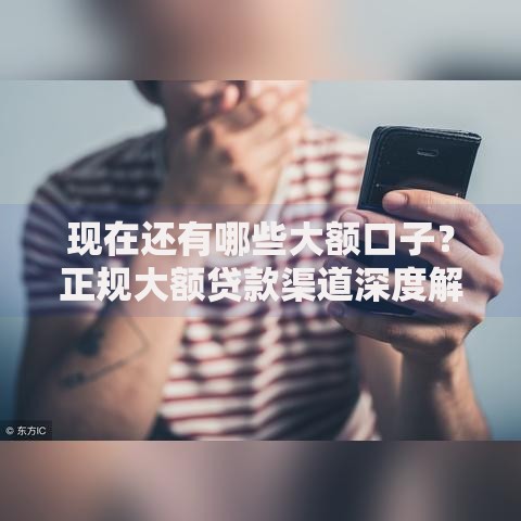 现在还有哪些大额口子？正规大额贷款渠道深度解析