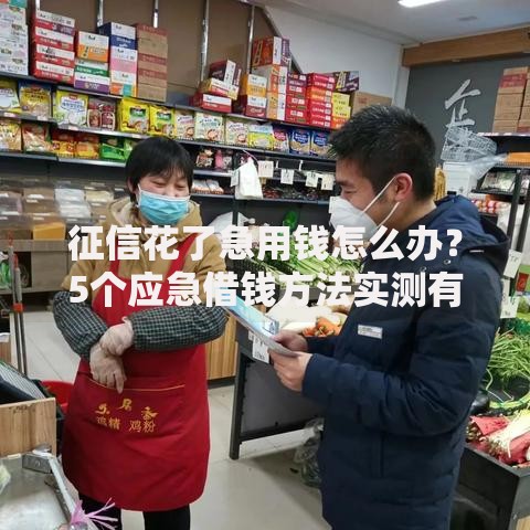 征信花了急用钱怎么办?5个应急借钱方法实测有效 征信花了急用钱怎么办?5个应急借钱方法实测有效