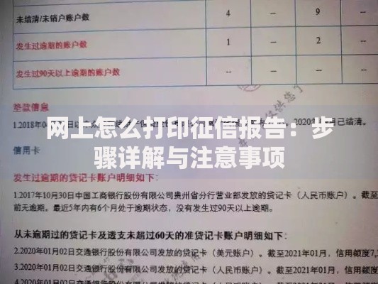 网上怎么打印征信报告:步骤详解与注意事项 网上怎么打印征信报告:步骤详解与注意事项