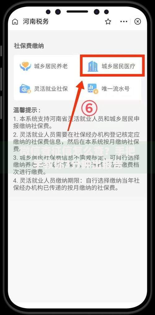 微信查征信怎么查？手把手教你3分钟出报告