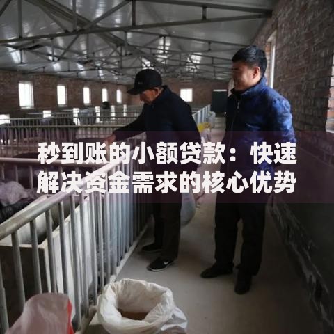 秒到账的小额贷款：快速解决资金需求的核心优势解析