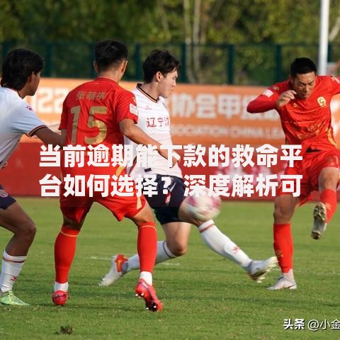 当前逾期能下款的救命平台如何选择？深度解析可靠渠道