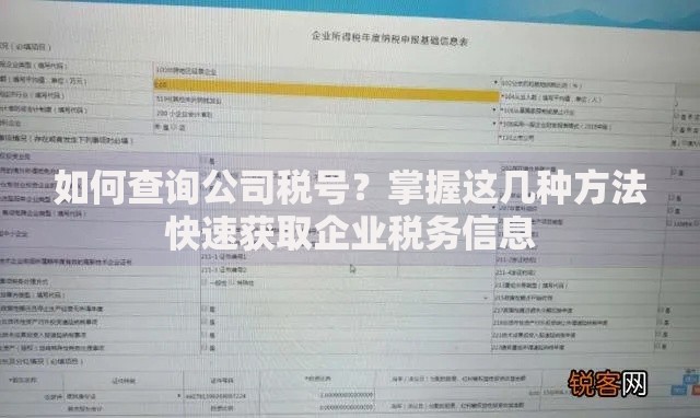 如何查询公司税号？掌握这几种方法快速获取企业税务信息