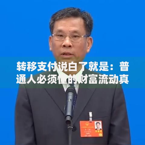 转移支付说白了就是：普通人必须懂的财富流动真相