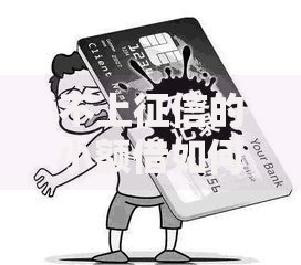不上征信的小额借如何申请？条件及风险深度解析