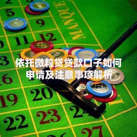 依托微粒贷贷款口子如何申请及注意事项解析