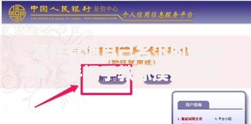 怎样查询自己名下的信用卡？手把手教你摸清钱包底细