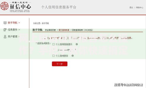 网上申请征信报告怎么操作？手把手教你快速搞定