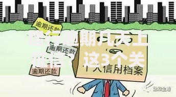 建行逾期几天上征信？这3个关键天数必须知道