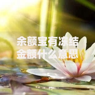 余额宝有冻结金额什么意思？揭秘资金被锁住的真实原因