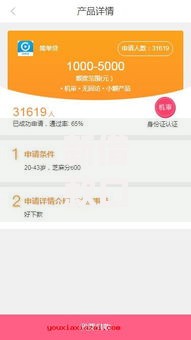 新借款口子周末秒批：如何快速申请低息贷款？