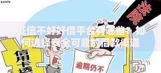 征信不好好借平台有哪些？如何选择安全可靠的借款渠道