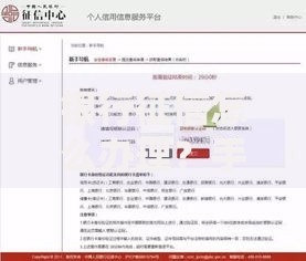 银行征信怎么办理？手把手教你搞定信用报告