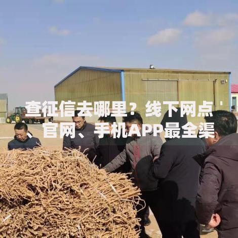 查征信去哪里？线下网点、官网、手机APP最全渠道整理