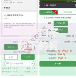 黑户口子秒下的有吗2025年最新审核机制深度解析