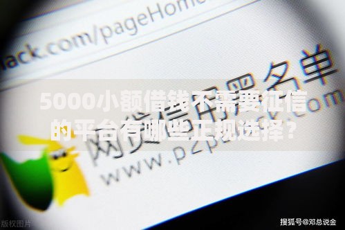 5000小额借钱不需要征信的平台有哪些正规选择？