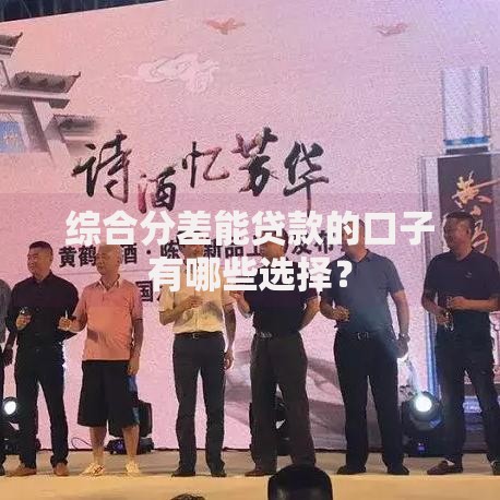 综合分差能贷款的口子有哪些选择？