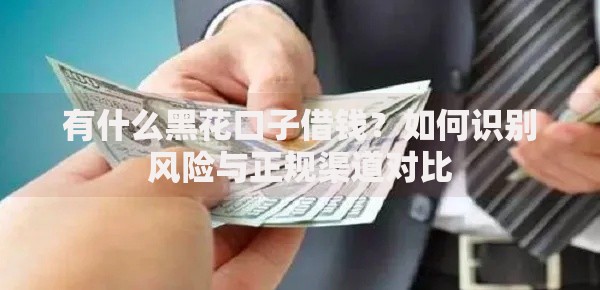 有什么黑花口子借钱？如何识别风险与正规渠道对比