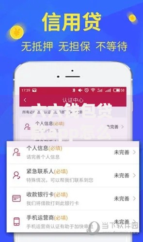 六六钱包贷款app怎么样？靠谱吗？申请流程及用户反馈解析