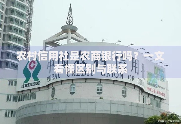 农村信用社是农商银行吗？一文看懂区别与联系