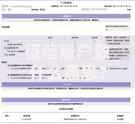 征信账户数什么意思？一文搞懂它对贷款的影响！