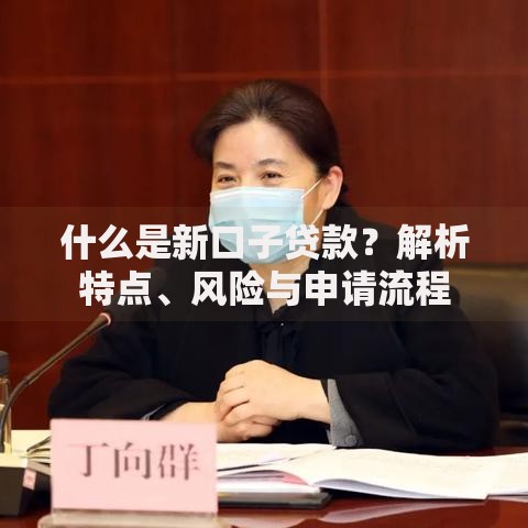 什么是新口子贷款？解析特点、风险与申请流程