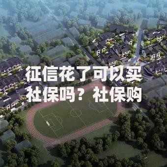 征信花了可以买社保吗？社保购买与征信关联深度解析