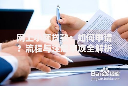网上小额贷款：如何申请？流程与注意事项全解析