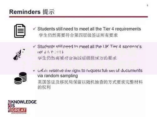网上小额贷款：如何申请？流程与注意事项全解析