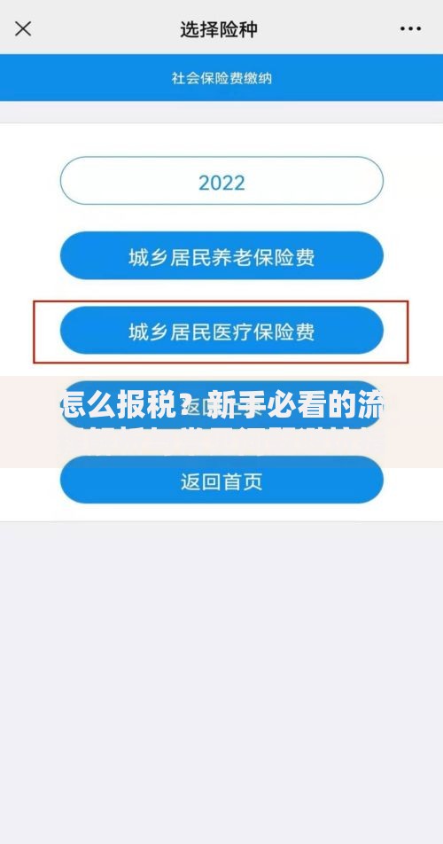 怎么报税？新手必看的流程解析与常见问题避坑指南