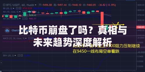 比特币崩盘了吗？真相与未来趋势深度解析