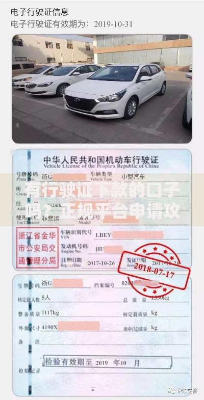 有行驶证下款的口子吗？正规平台申请攻略详解