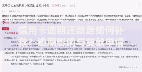 信用卡逾期还款后如何补救？逾期影响与贷款申请全解析