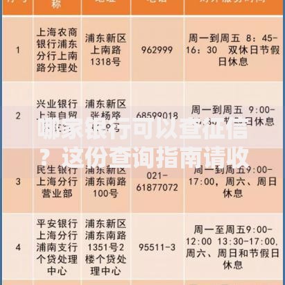 哪家银行可以查征信？这份查询指南请收好