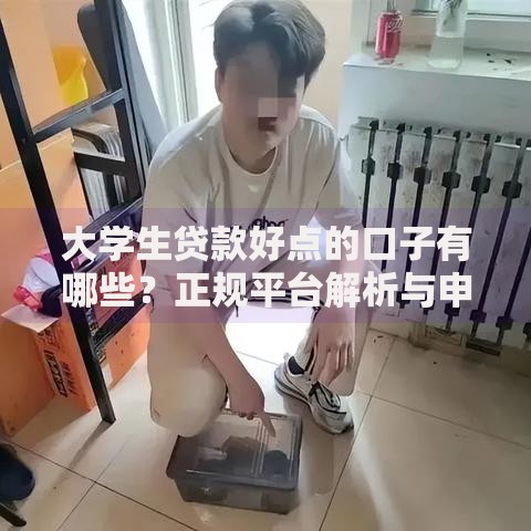 大学生贷款好点的口子有哪些？正规平台解析与申请攻略