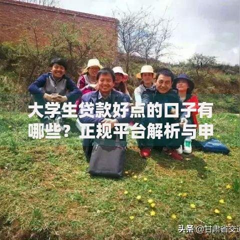 大学生贷款好点的口子有哪些？正规平台解析与申请攻略