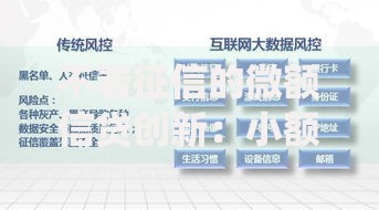 不看征信的微额信贷创新：小额贷款如何突破传统风控模式