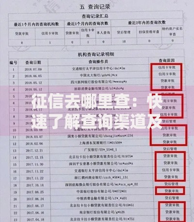 征信去哪里查：快速了解查询渠道及注意事项