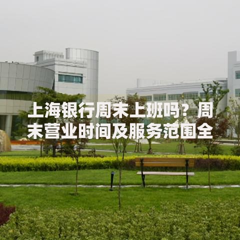 上海银行周末上班吗？周末营业时间及服务范围全解析