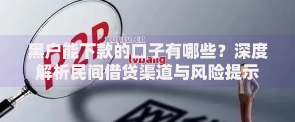 黑户能下款的口子有哪些？深度解析民间借贷渠道与风险提示