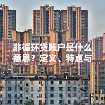 非循环贷账户是什么意思？定义、特点与适用场景解析