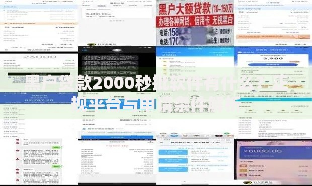黑户贷款2000秒批软件有什么？正规平台与申请条件解析