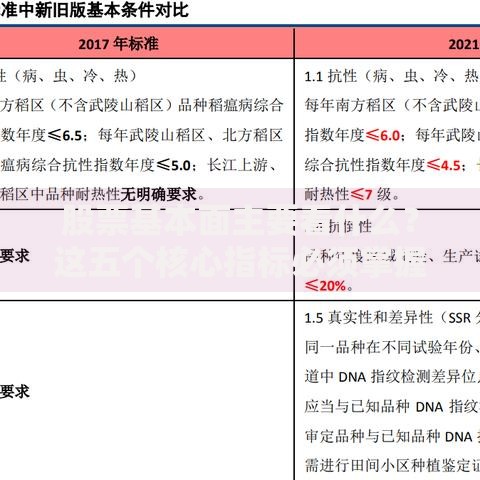 股票基本面主要看什么？这五个核心指标必须掌握