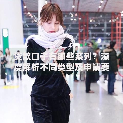 贷款口子有那些系列？深度解析不同类型及申请要点