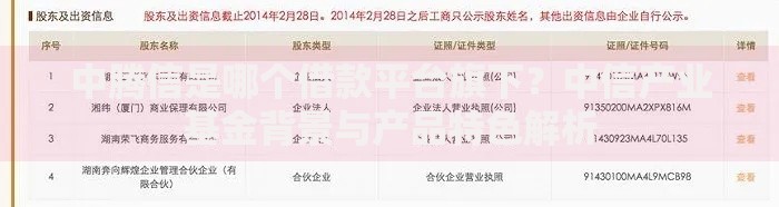 中腾信是哪个借款平台旗下？中信产业基金背景与产品特色解析