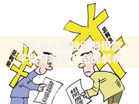 不需要人脸验证的借款平台有哪些？全面解析与选择指南